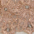 products/Nude_Pearls_Diamond_Lace_Crop_Top_Tank_Tops_detail.jpg